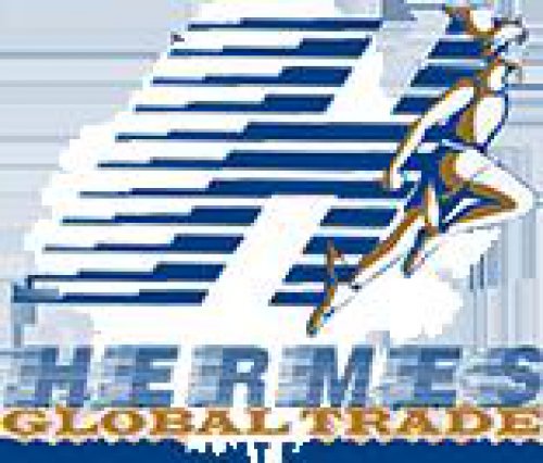 HERMES GLOBAL TRADE Hermes Transit International Logo