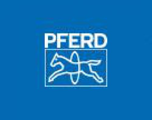 PFERD RUGGEBERG FRANCE Logo