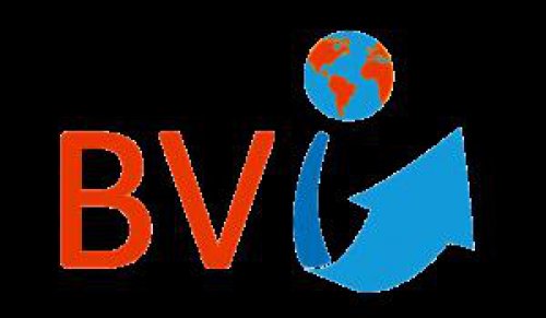 B.V. INTERNATIONAL Logo