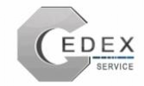 Gedex-Service Logo