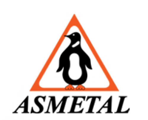 Asmetal Otomotiv San. ve Tic. A.Ş. Logo