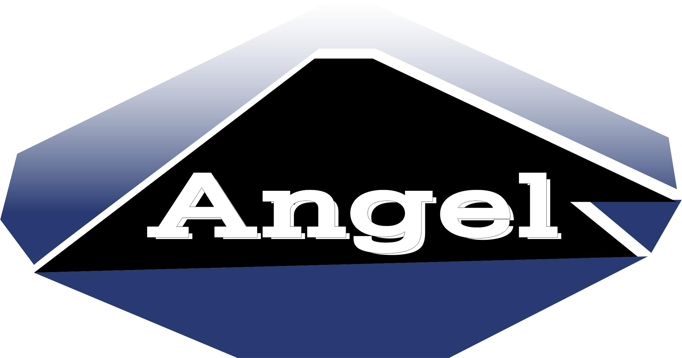 Angel Extrusion Private Limited Logo