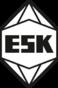 ESK-SIC GmbH Logo