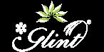 Glint Cosmetics Private Limited Logo