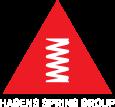 Hagens Spring Group A/S                                      Hagens Fjedre A/S Logo