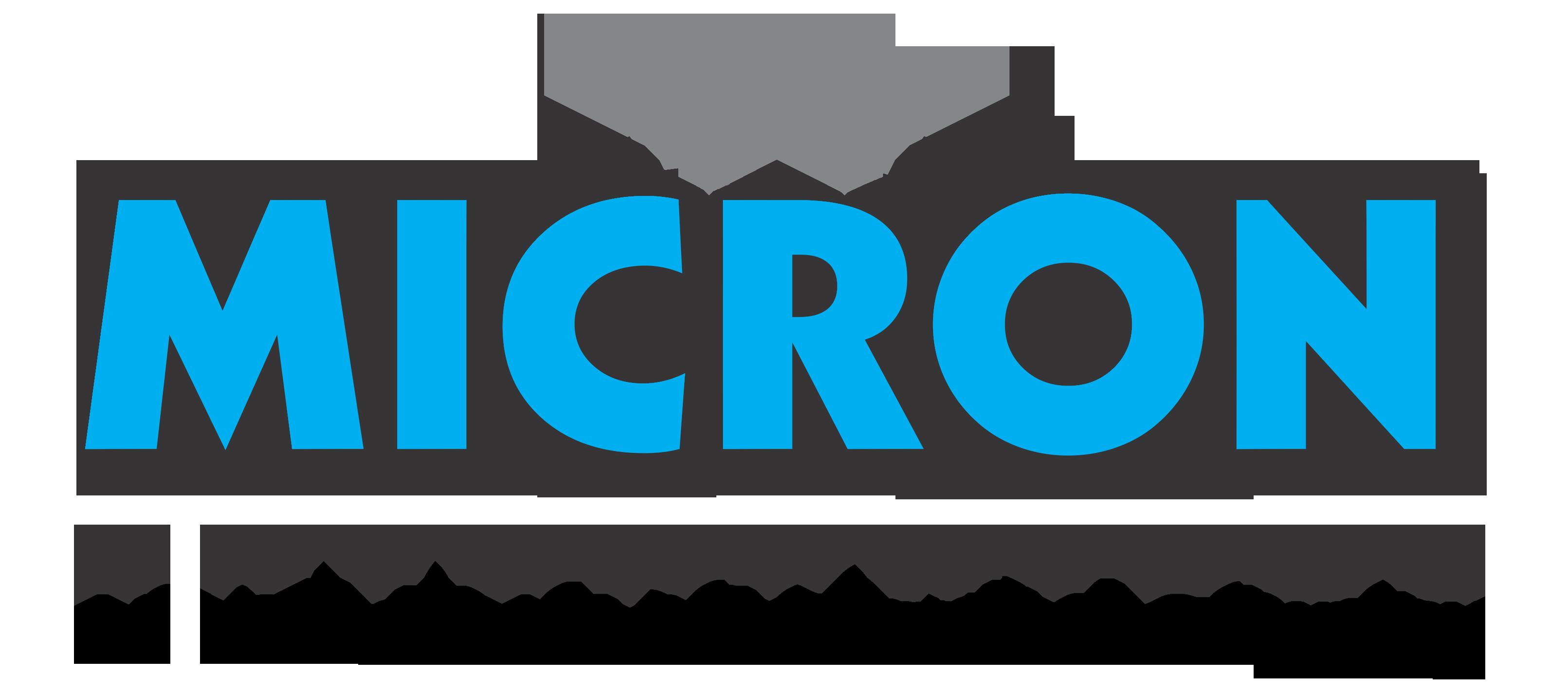 Micron Enterprises Logo