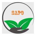 SAPO DAKLAK CO.,LTD Logo