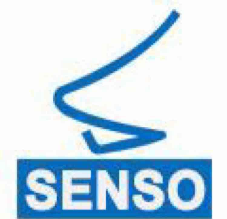 Senso Medi Systems Logo