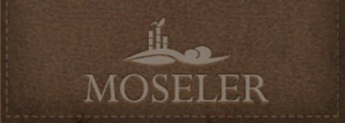 Andreas Moseler Logo