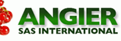 ANGIER INTERNATIONAL Logo