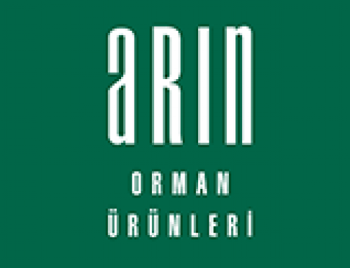 ARIN ORMAN ÜRÜNLERİ SANAYİ VE TİCARET ANONİM ŞİRKETİ Logo