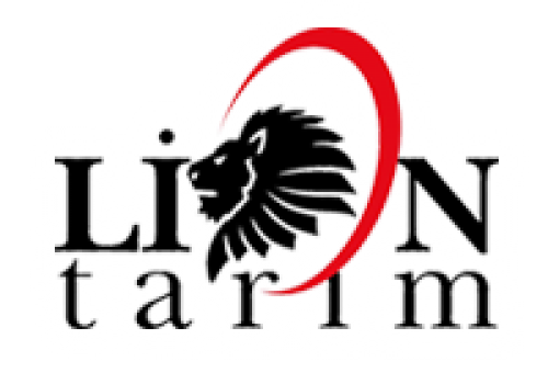 ARSLAN YALTAN Logo