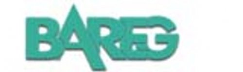 BAREG Recycling und Entsorgung GmbH & Co. KG Logo