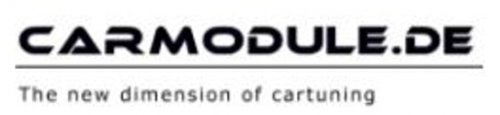 Binteso GmbH - Carmodule Logo