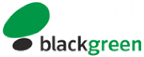 BLACK GREEN METAL Logo