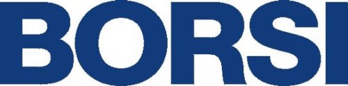 BORSI GmbH & Co. KG Logo
