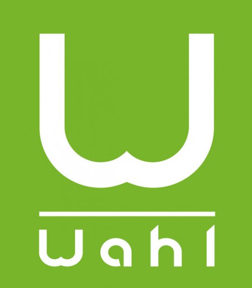 BWI Wahl GmbH Logo