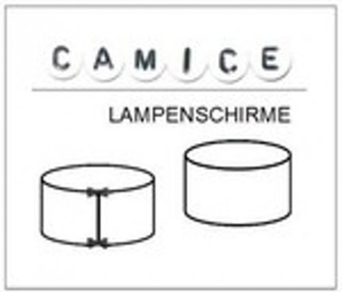 CAMICE Logo
