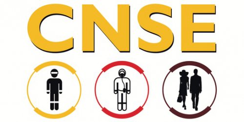 CNSE Logo