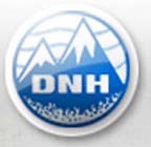 D N H Den Norske Hoyttalerfabrikkk GmbH Logo