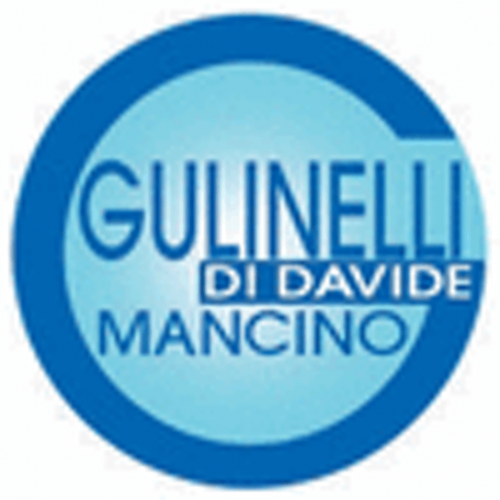 DI MANCINO DAVIDE Logo
