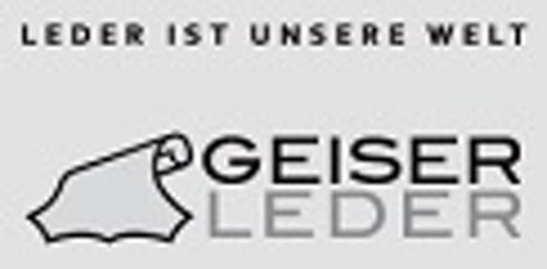 Dietmar Geiser Logo