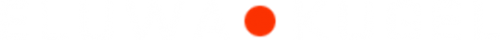 Eluwa-Kugel – Öfen und Kamine Logo