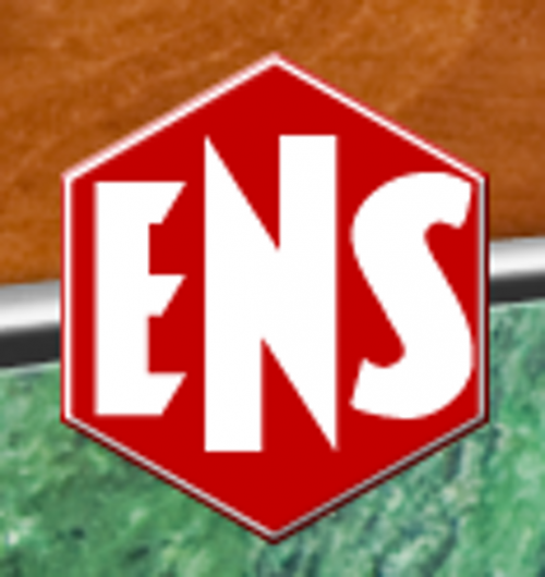 Ernst Nestler & Söhne GmbH Logo