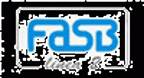 FASB LINEA 2 SRL Logo