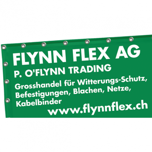 Flynn Flex AG Logo