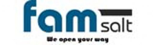 FMP International GmbH Logo