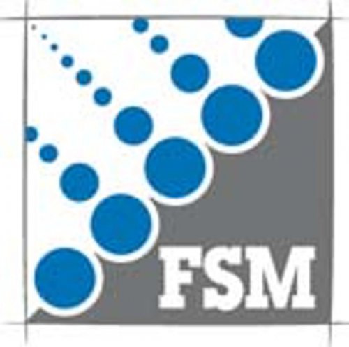 FSM Frankenberger GmbH & Co. KG Logo