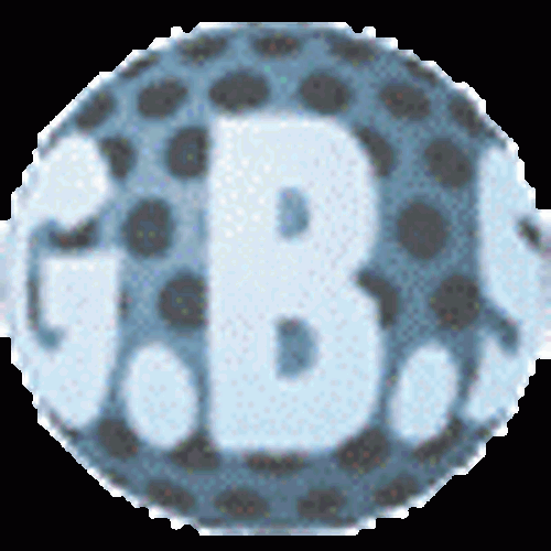 G.B.S. LAMIERE PERFORATE SRL Logo