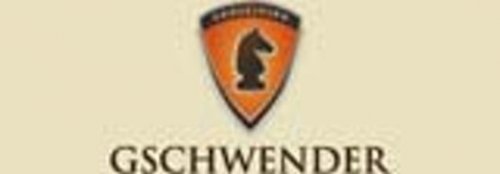 Gschwender Consulting GmbH Logo