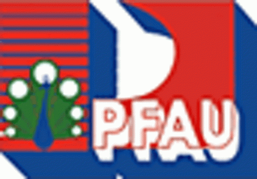 Horst Pfau GmbH Logo