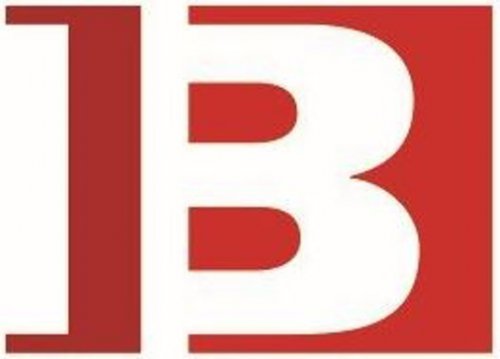 IB Verfahrens- und Anlagentechnik GmbH & Co. KG Logo