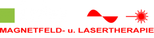 IDE GmbH Logo