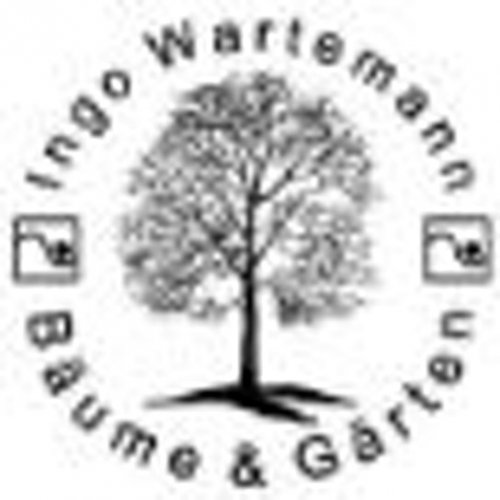 Ingo Wartemann Logo