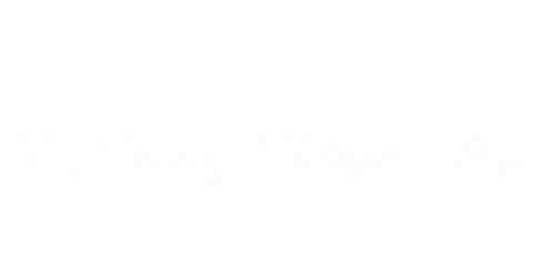 K. Storz Söhne AG Logo