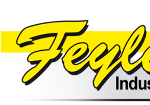 Martin Feyler GmbH & Co. Industrielackierungen KG Logo