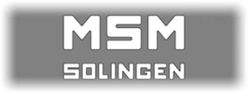 MSM Martin Schneider Maschinenfabrik GmbH & Co. KG Logo