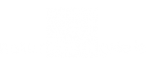 Natursteingalerie GmbH Logo
