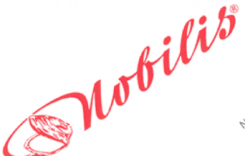 Nobilis North Star Benelux BVBA Logo