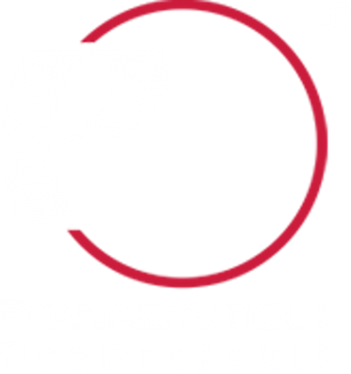 Pfannenstiel ProProjekt GmbH Logo