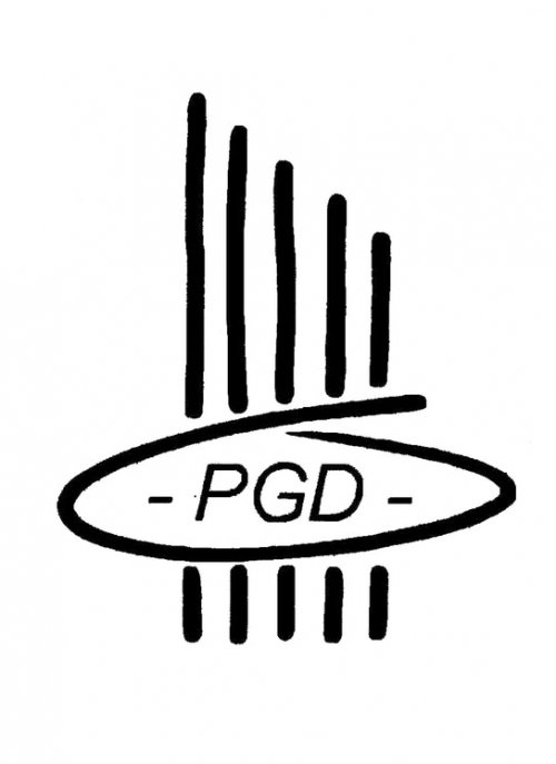PGDienst Logo