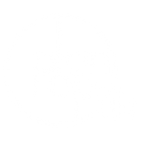 Plan Optik AG Logo