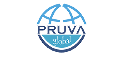 PRUVA GLOBAL DEPOLAMA VE LOJİSTİK DIS TICARET LİMİTED ŞİRKETİ Logo