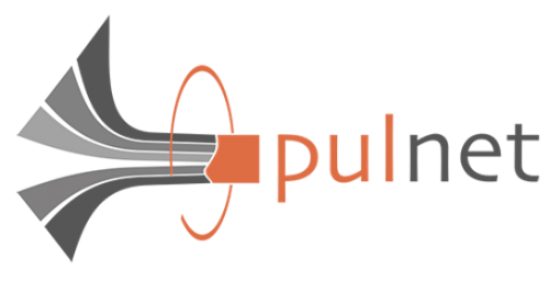 PulNet - Netzwerk für pultrudierte Leichtbaustrukturen Logo