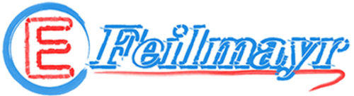 Reinhold Feilmayr Logo