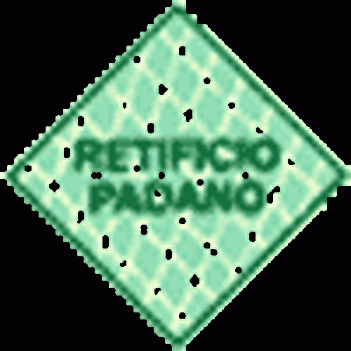 RETIFICIO PADANO SRL Logo